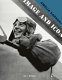 Amelia Earhart : image and icon /