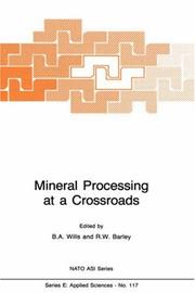 Mineral processing at a crossroads : problems and prospects /