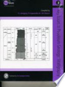 Key issues in petroleum geology : stratigraphy /