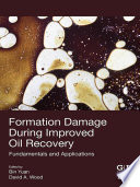Formation Damage during Improved Oil Recovery : Fundamentals and Applications /