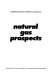 Natural gas prospects.