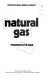 Natural gas : prospects to 2000 /