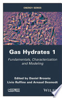 Gas hydrates 1 : fundamentals, characterization and modeling /