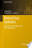 Natural gas hydrates : experimental techniques and their applications /