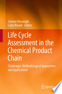Life Cycle Assessment in the Chemical Product Chain : Challenges, Methodological Approaches and Applications  /
