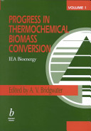 Progress in thermochemical biomass conversion /