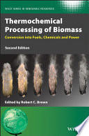 Thermochemical processing of biomass : conversion into fuels, chemicals and power /
