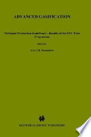 Advanced gasification : methanol production from wood--results of the EEC pilot programme /