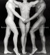Robert Mapplethorpe and the classical tradition : photographs and Mannerist prints /