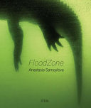 FloodZone /