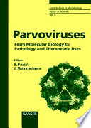 Parvoviruses : from molecular biology to pathology and therapeutic uses /