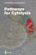 Pathways for cytolysis /