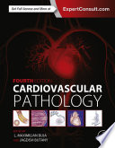 Cardiovascular pathology /