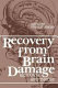 Recovery from brain damage : research and theory /