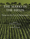 The Marks in the fields : essays on the uses of manuscripts /