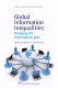 Global information inequalities : bridging the information gap /