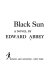 Black sun ; a novel  /