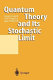 Quantum theory and its stochastic limit /