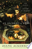 An alchemy of mind : the marvel and mystery of the brain /