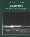 Examples : the making of 40 photographs /