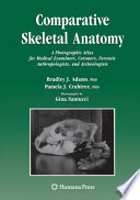 Comparative skeletal anatomy : a photographic atlas for medical examiners, coroners, forensic anthropologists, and archaeologists /