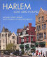 Harlem, lost and found : an architectural and social history, 1765-1915 /