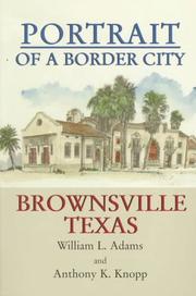 Portrait of a border city : Brownsville, Texas /