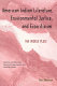 American Indian literature, environmental justice, and ecocriticism : the middle place /