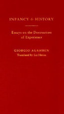 Infancy and history : the destruction of experience /
