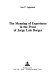 The meaning of experience in the prose of Jorge Luis Borges /