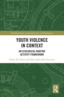 Youth violence in context : an ecological routine activity framework /