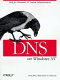 DNS on Windows NT /