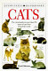 Cats /