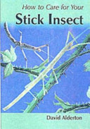Your first stick insect /