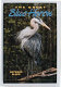 The great blue heron /