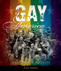 Gay America : struggle for equality /