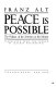 Peace is possible : the politics of the Sermon on the Mount /