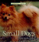 Small dogs /