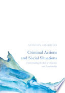 Criminal actions and social situations : understanding the role of structure and intentionality /