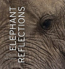 Elephant reflections /