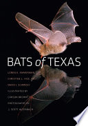 Bats of Texas /