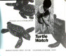 Turtle watch /