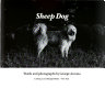 Sheep Dog /