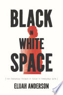 Black in White space : the enduring impact of color in everyday life /
