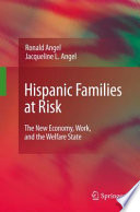 Hispanic families at risk : the new economy, work, and the welfare state /