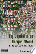 Big capital in an unequal world : the micropolitics of wealth in Pakistan /