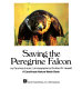 Saving the peregrine falcon /