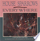 House sparrows everywhere /