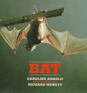 Bat /