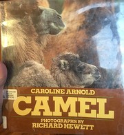 Camel /